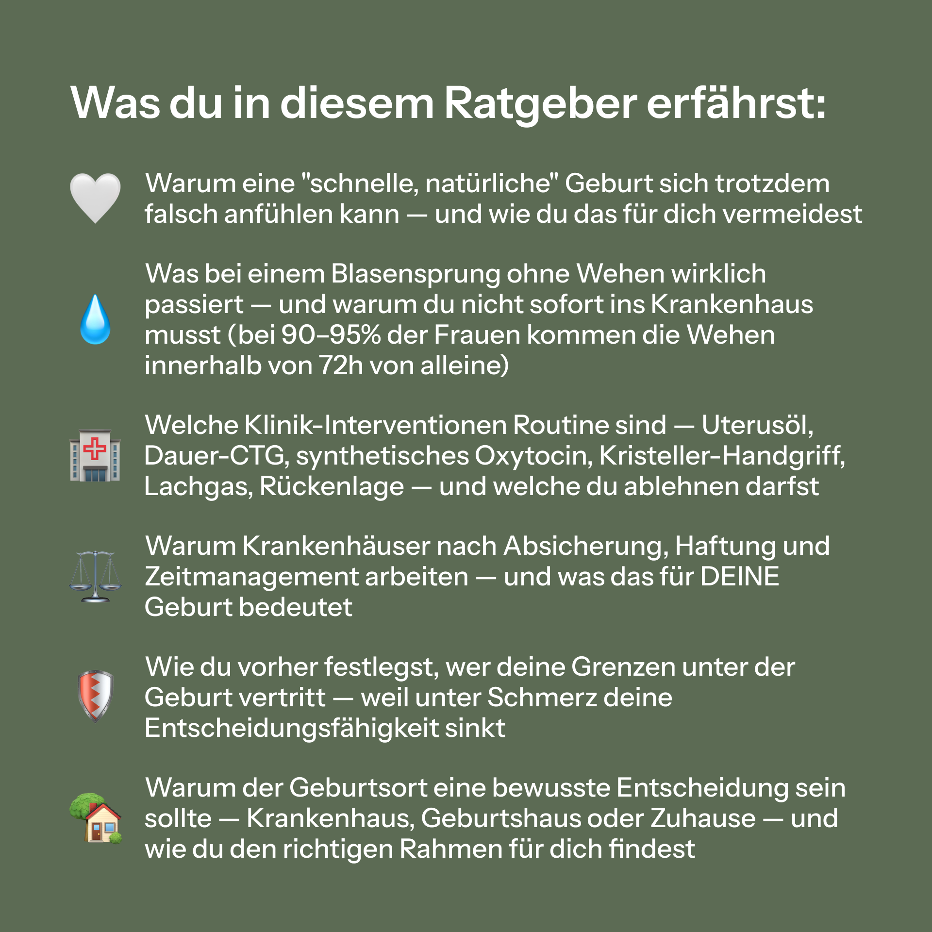 Dein Geburts-Ratgeber von Kati Miroux